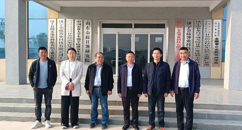 甘薯專委會組織甘薯苗期調(diào)研，制定苗期管理意見