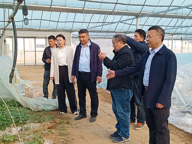 領(lǐng)導(dǎo)來基地考察