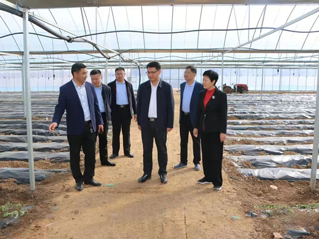 領(lǐng)導(dǎo)來基地考察